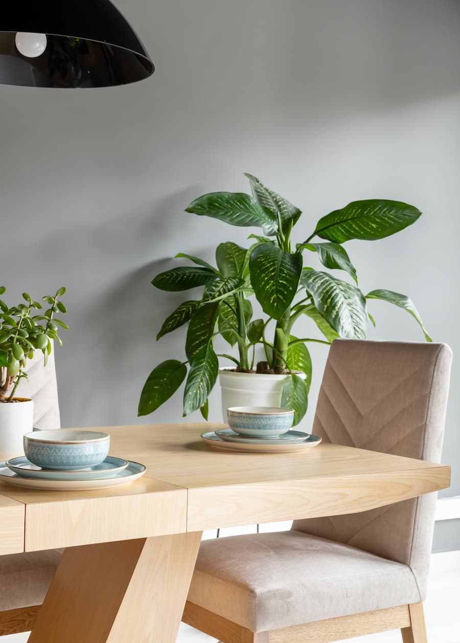 Home Staging para gestores alquiler vacacional